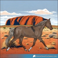 Horse Color:Liver Red Dun Tobiano 