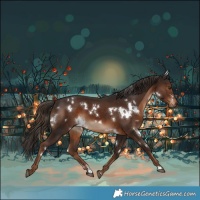 Horse Color:White Spotted Liver Chestnut 