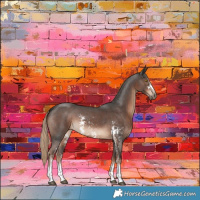 Horse Color:Liver Chestnut Sabino