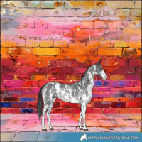 Horse Color:Black Sabino Rabicano 