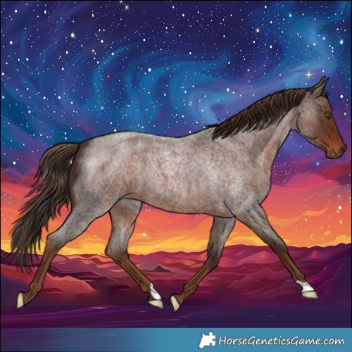 Horse Color:Liver Red Roan 