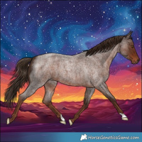 Horse Color:Liver Red Roan