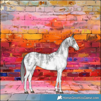 Horse Color:Smoky Black Sabino Rabicano 