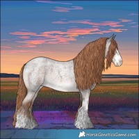 Horse Color:Liver Red Roan Sabino Rabicano 