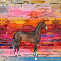 Horse Color:Brown Rabicano 