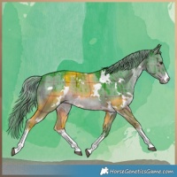 Horse Color:Watercolor Plaid White Spotted Liver Red Dun Brindle
