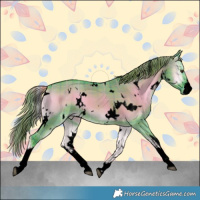 Horse Color:Void Watercolor Plaid  White Spotted Liver Red Dun Onyx 