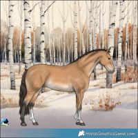 Horse Color:Buckskin Sabino