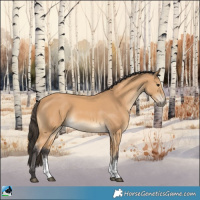 Horse Color:Buckskin Sabino 