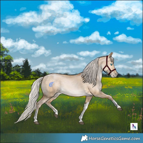 Horse Color:Silver Buckskin Pearl Dun Sabino Tobiano