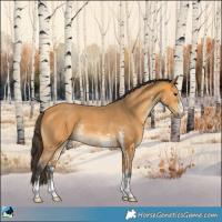 Horse Color:Buckskin Sabino