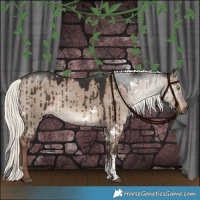 Horse Color:White Spotted Liver Red Dun Mushroom Sabino Rabicano Brindle 