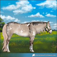 Horse Color:White Spotted Liver Red Dun Mushroom Rabicano 