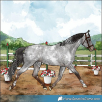 Horse Color:White Spotted Liver Red Roan 
