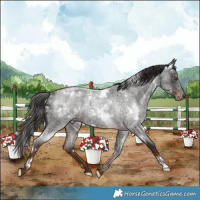 Horse Color:White Spotted Liver Red Roan 