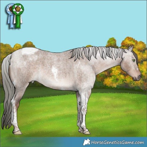 Horse Color:Liver Red Dun Roan Mushroom Tobiano 