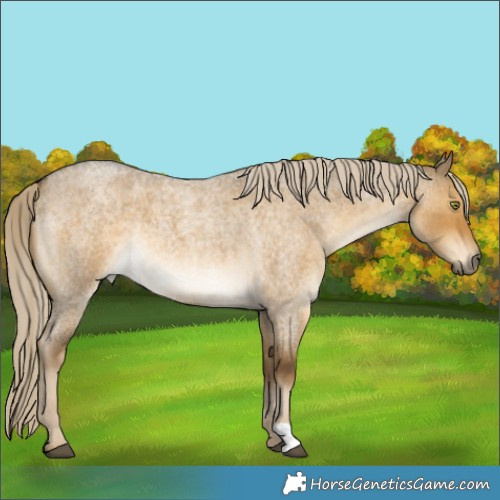 Horse Color:Chocolate Palomino Roan Dun Mushroom 