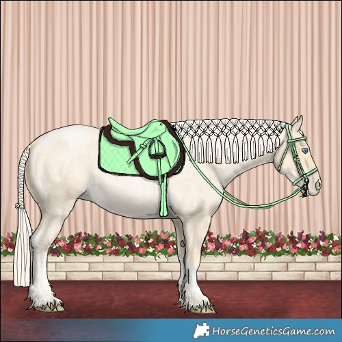 Horse Color:Palomino Roan Pearl  and Palomino Roan Pearl 