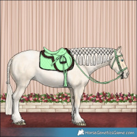 Horse Color:Palomino Roan Pearl  and Palomino Roan Pearl 