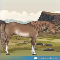 Horse Color:White Spotted Liver Red Dun Tobiano Rabicano Brindle