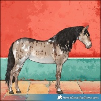 Horse Color:White Spotted Liver Red Dun Brindle 