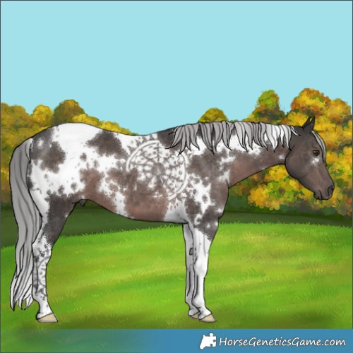 Horse Color:Platinum White Spotted Liver Chestnut Tobiano 