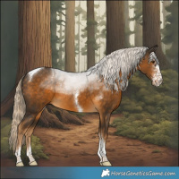 Horse Color:Chocolate Palomino Sabino Tobiano 