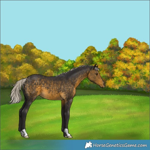 Horse Color:Silver Buckskin Mushroom 