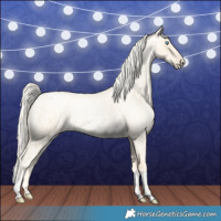 Horse Color:Palomino Roan Pearl  and Gold Cream Champagne Roan Pearl 