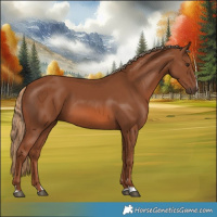 Horse Color:Chestnut 