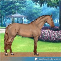 Horse Color:Red Dun