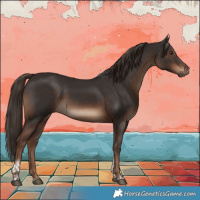 Horse Color:Liver Chestnut Tobiano 