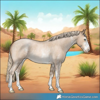 Horse Color:Chocolate Palomino Roan Pearl Sabino 