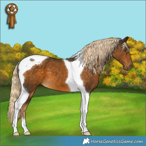 Horse Color:Chocolate Palomino Tobiano 