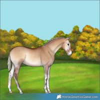 Horse Color:Silver Bay Onyx Rabicano 