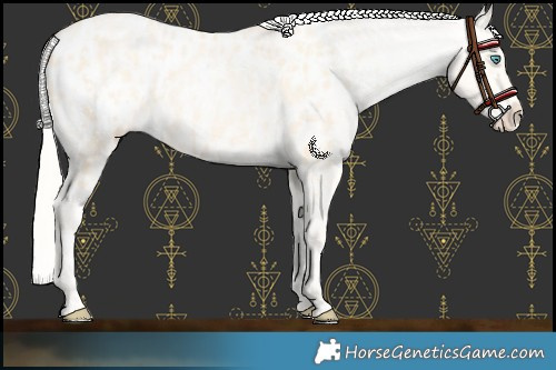 Horse Color:Palomino Roan Pearl Appaloosa  and Palomino Roan Pearl Appaloosa 