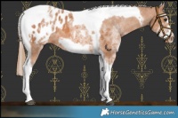 Horse Color:White Spotted Chestnut Splash Tobiano Frame Blanket 