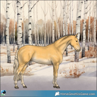 Horse Color:Palomino