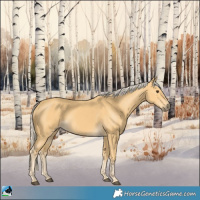 Horse Color:Palomino Rabicano
