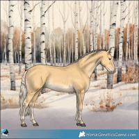 Horse Color:Palomino