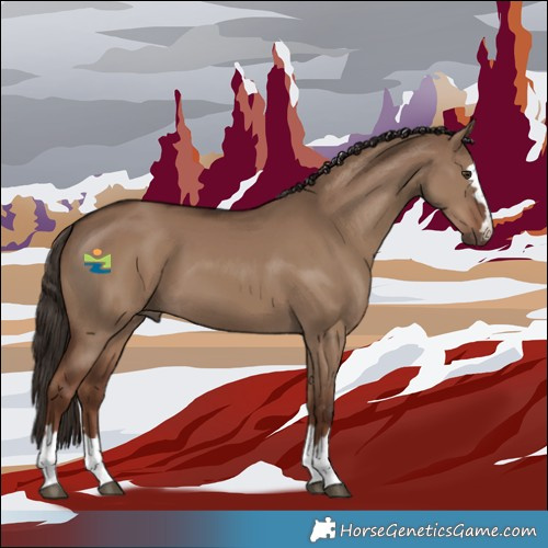 Horse Color:Liver Red Dun 