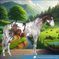 Horse Color:White Spotted Silver Brown Sabino 