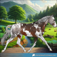Horse Color:White Spotted Silver Brown Sabino 