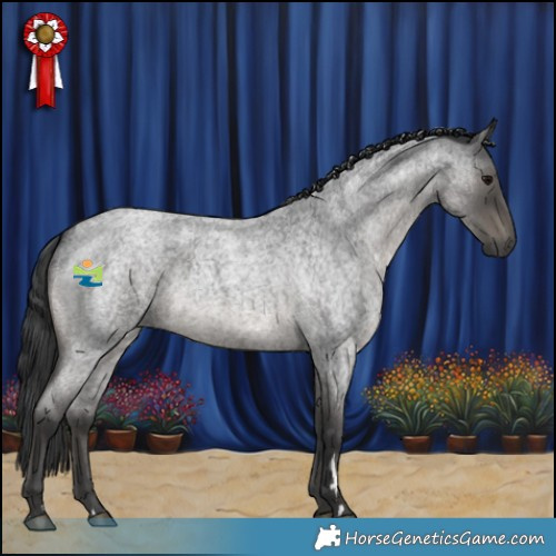 Horse Color:Blue Roan 