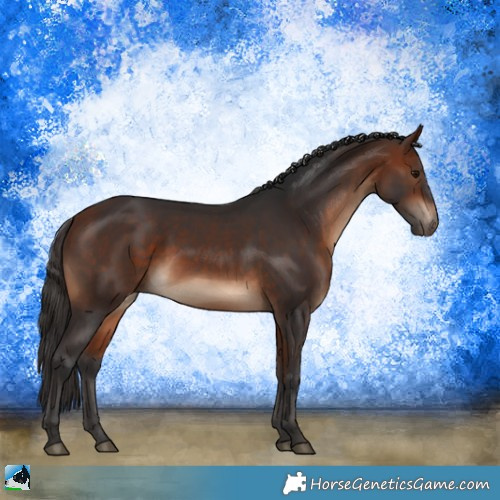 Horse Color:Bay Rabicano