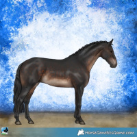 Horse Color:Brown Rabicano 