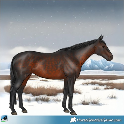 Horse Color:Brown Rabicano 