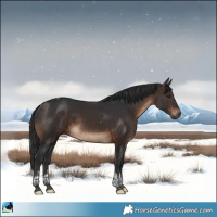 Horse Color:Brown Tobiano Rabicano