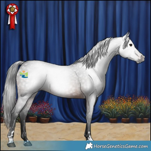 Horse Color:Gray Brown 