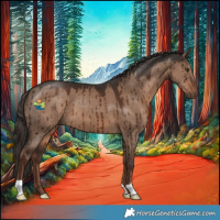 Horse Color:Liver Red Dun Brindle 